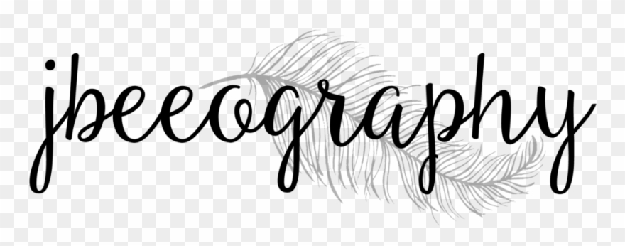 I Specialize In Wedding & Family Portrait Photography - Calligraphy Clipart