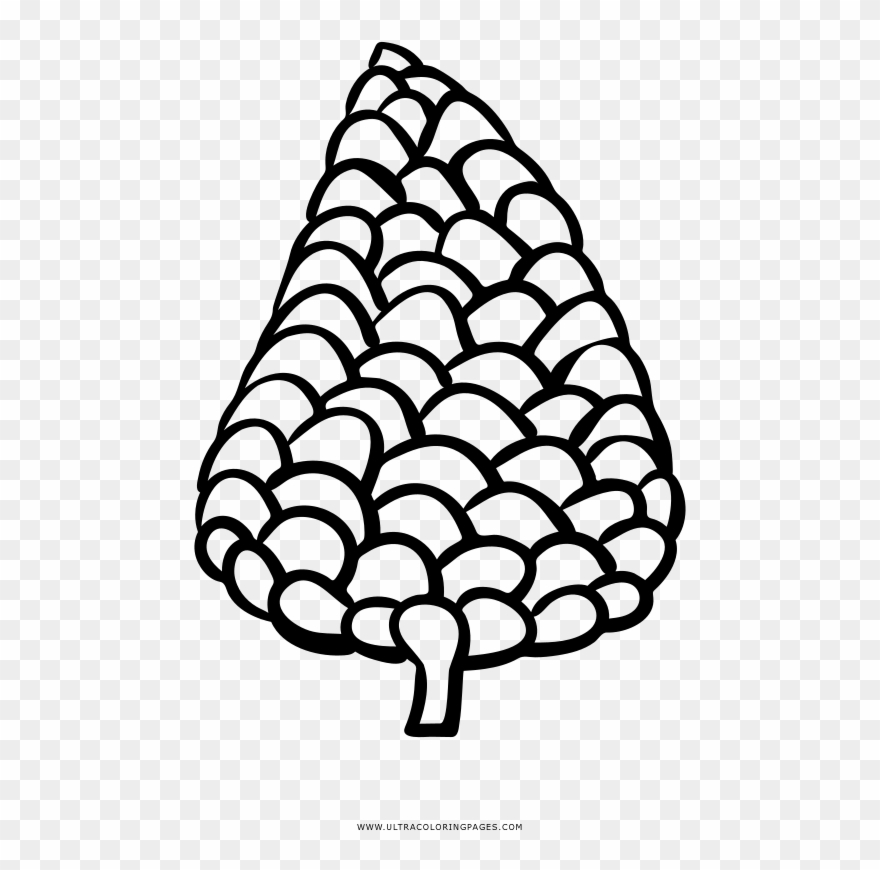 Pine Cone Coloring Page - Line Art Clipart