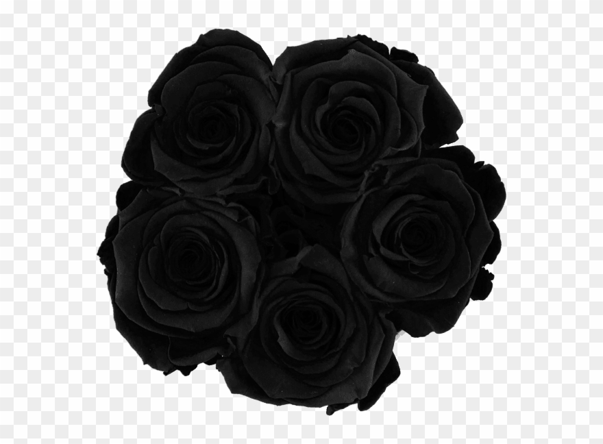 Prev - Garden Roses Clipart