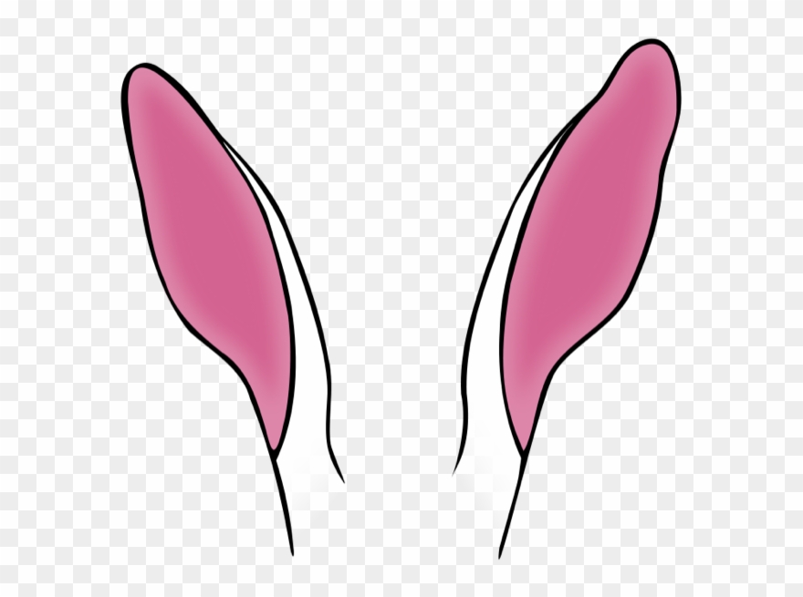 Clipart Of Bunny, Transparent Long And 2 Ear - Rabbit Ear Clip Art - Png Download
