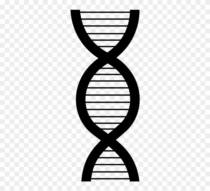 Persistent Link To This Item - Adn En Blanco Y Negro Clipart