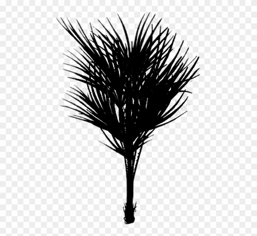 Bush Drawing Palm Tree - Silhouette Clipart