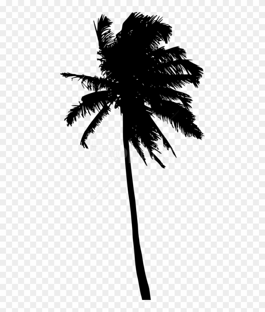 Free Png Palm Tree Silhouette Png - Palm Tree Silhouette Clipart