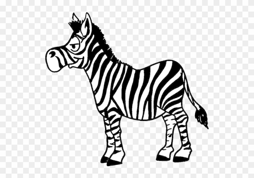 1c07637c - Zebre Pate A Modeler Clipart