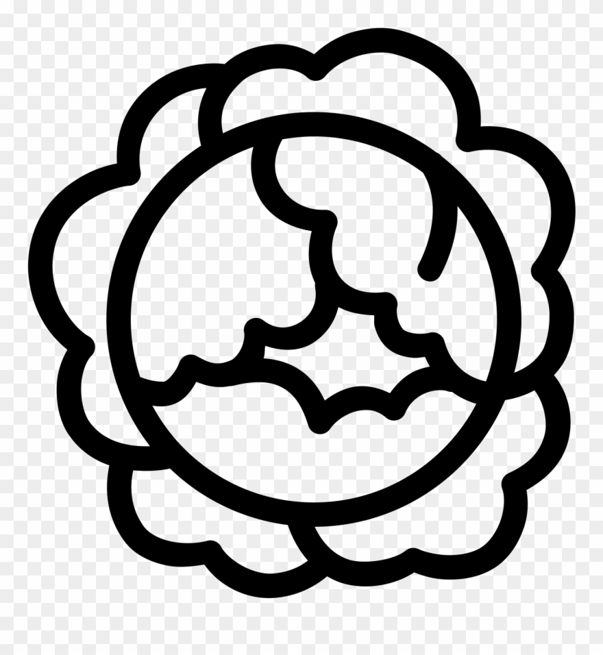 Free Download At Icons8 - Icon Cabbage Clipart