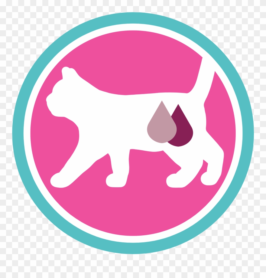 Purina One Urinary Care, Reich An Huhn Und Weizen - Roger Federer Clipart