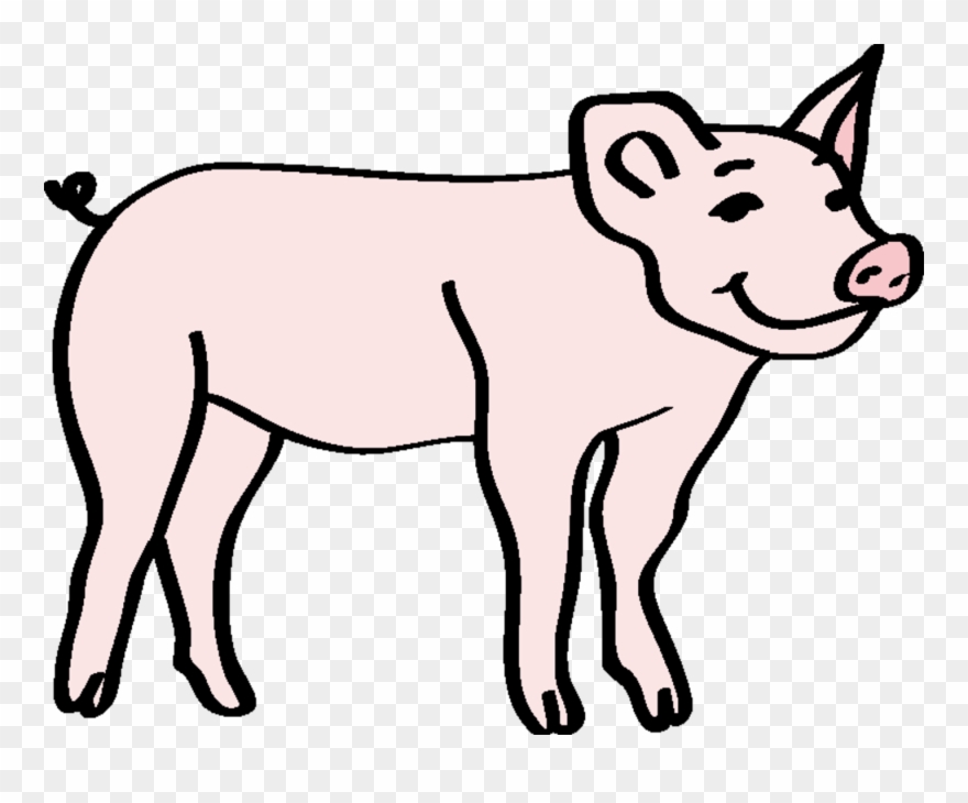 Bild Von Einem Schwein Clipart