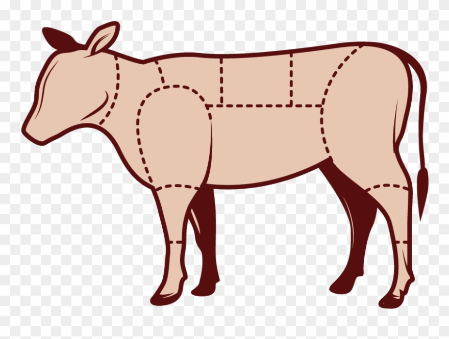 Beef Cuts Drawing Clipart