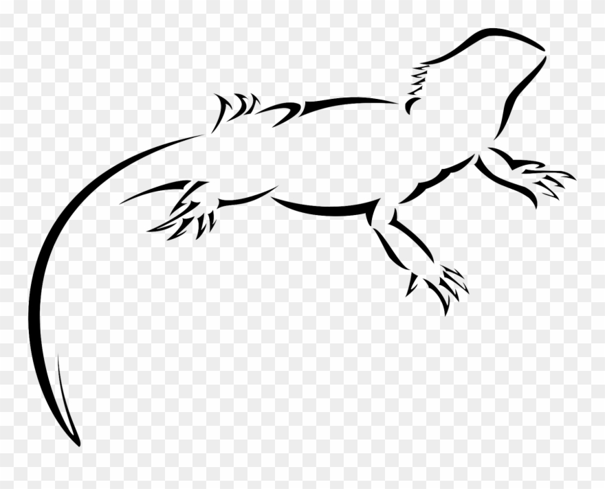 Exoten Expo Thun - Scaled Reptile Clipart