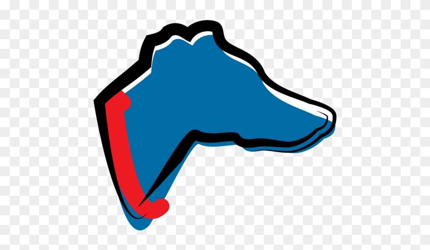 There Are 18 Official Greyhound Colours Clipart