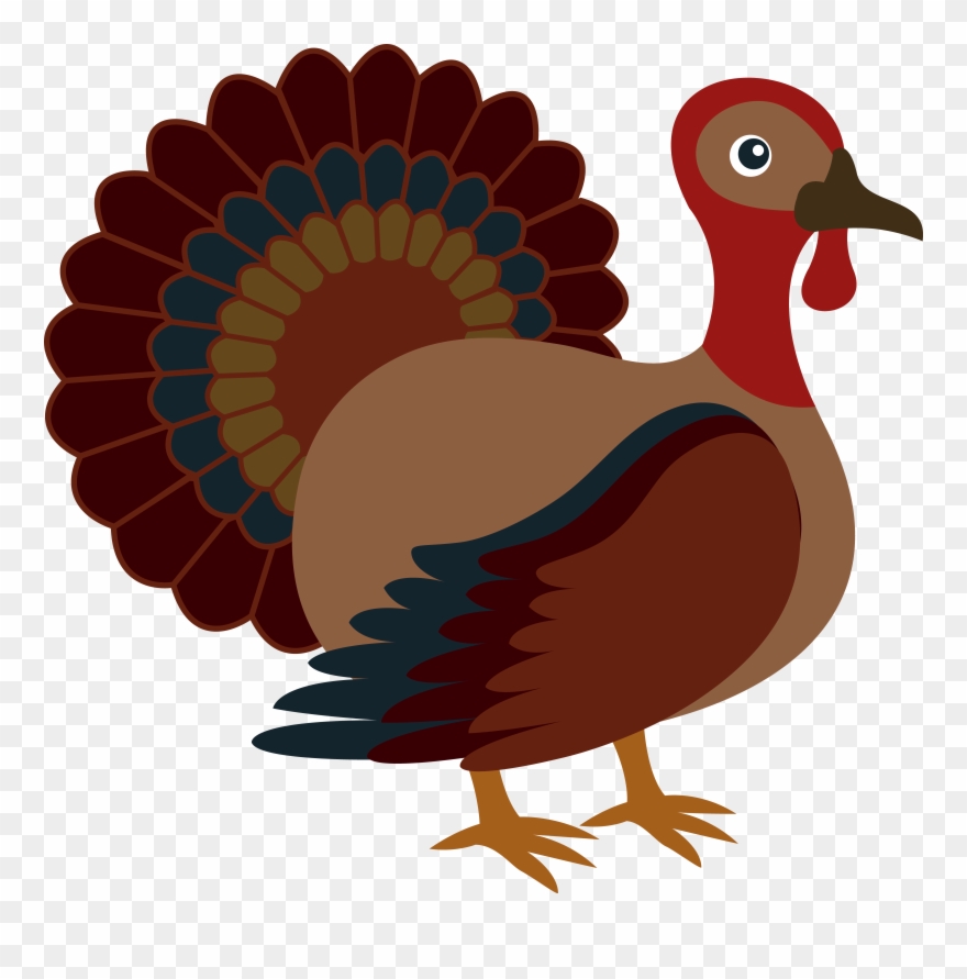 Thanksgiving Clipart Turkey - Turkey - Png Download