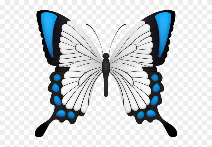 Blue Butterfly Deco Clipart Image - Barclay James Harvest Through The Eyes Of John Lees - Png Download