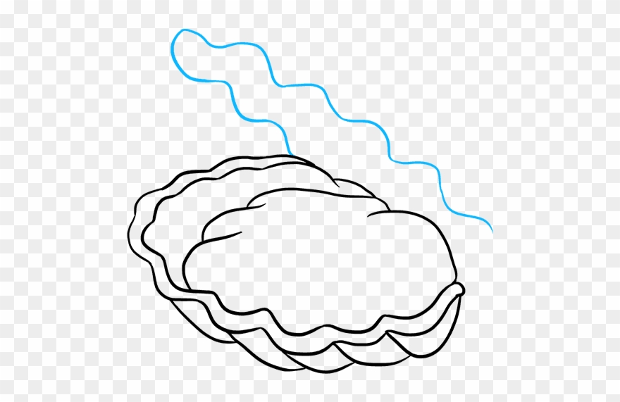 How To Draw Oyster With A Pearl - Line Art Clipart