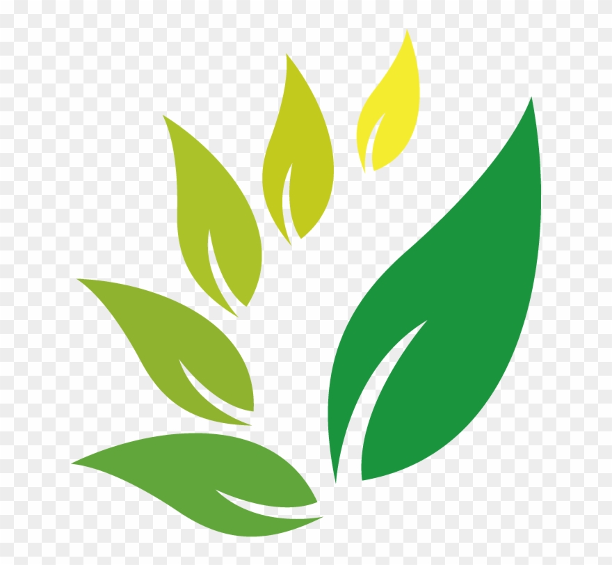 Jamu Herb Indian Jujube Herbal Logo Clipart - Logo Herb Graphic Design Free Clip Art - Png Download