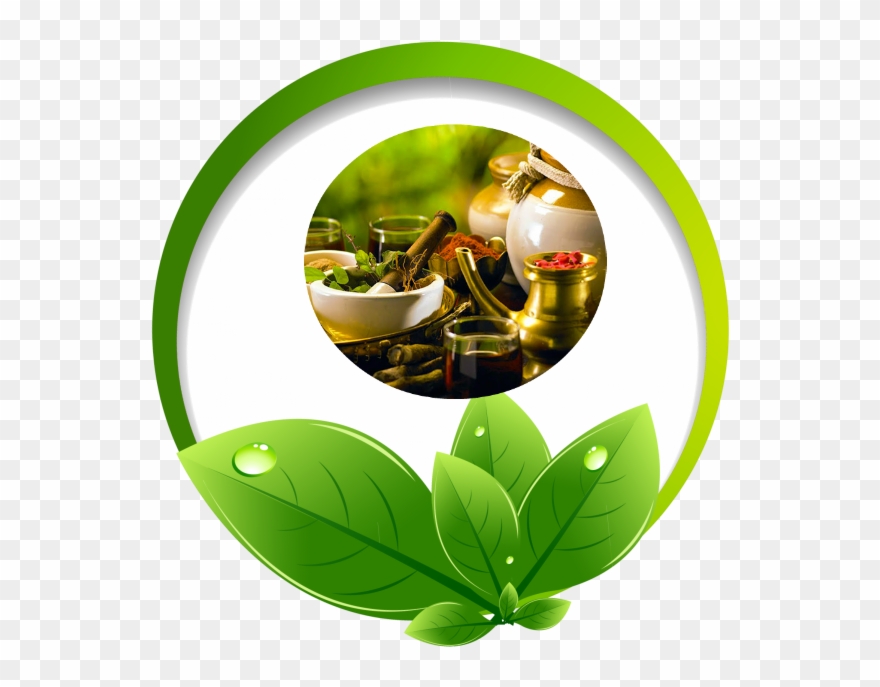Authentic Ayurveda Treatment - Yoga And Ayurveda Clipart