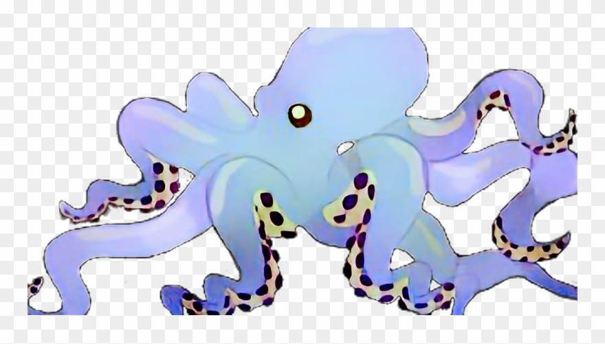 #octopus #ocean #oceanlife #nature #outdoors #sea #sealife - Octopus Clipart