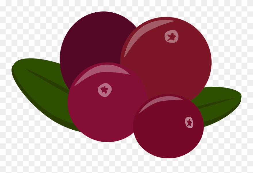 Previousnext - Circle Clipart