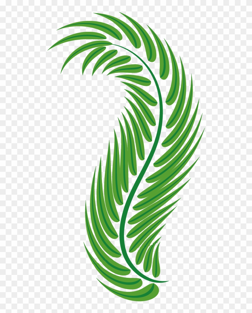 Vector Free Stock Palm Leaf Green Arecaceae Easter - Spiral Leaves Png Clipart