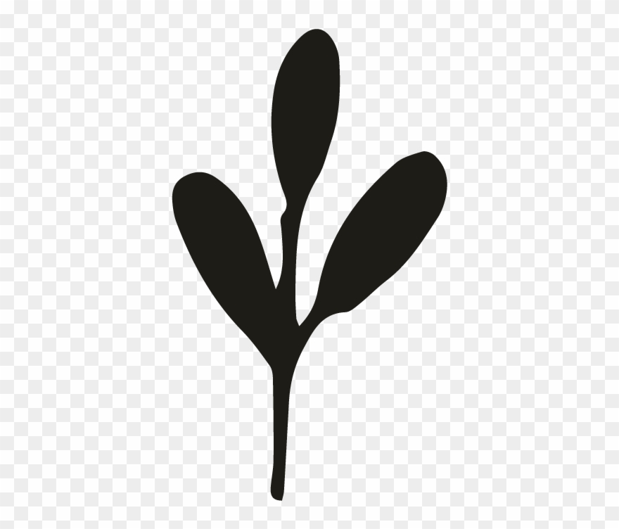 Greely - Illustration Clipart