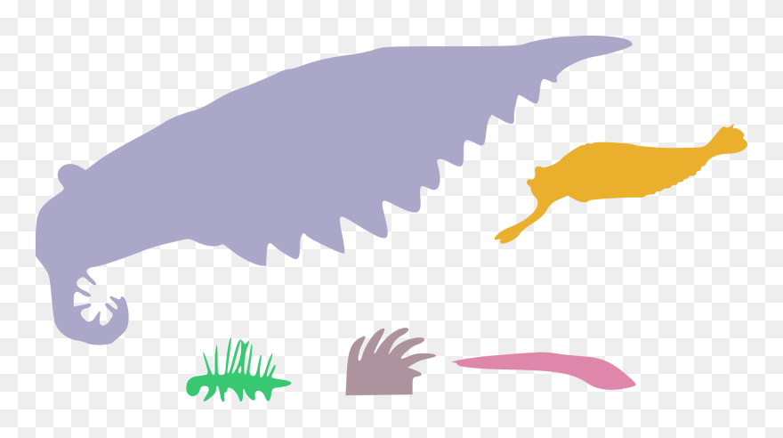 Cambrian Beasties To Scale - Cog Wheel Clipart