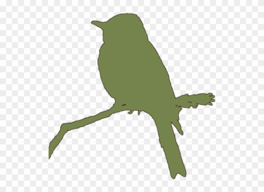 Eastern Wood Pewee 21may08 Kjm1039 10 Silhouette Clr - Mountain Bluebird Clipart