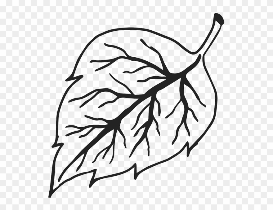 Veiny Leaf Rubber Stamp Clipart