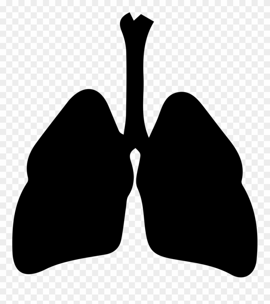 Respiratory System Svg Png Icon Free Download - Respiratory System Icon Clipart