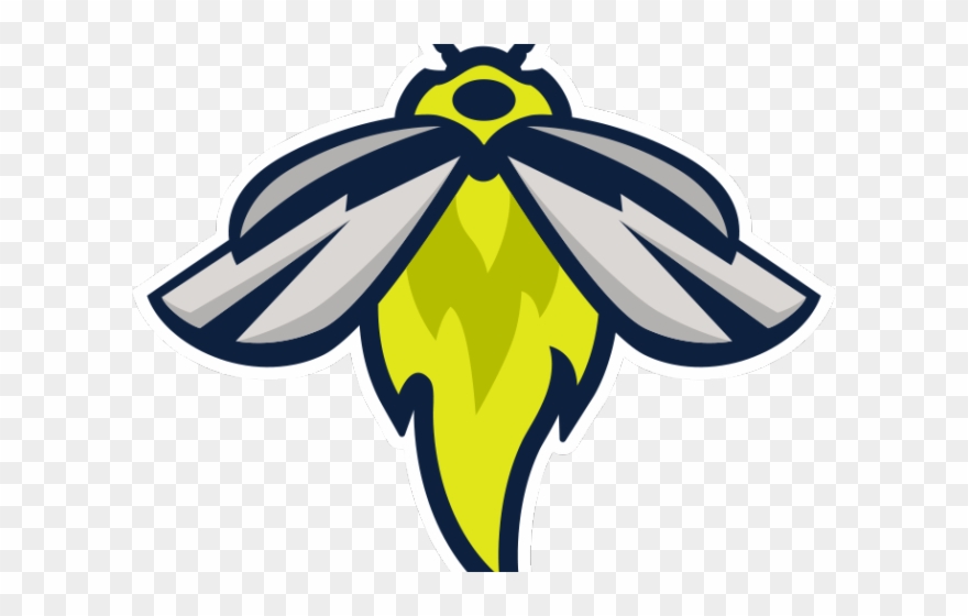 Firefly Clipart Night - Columbia Fireflies - Png Download