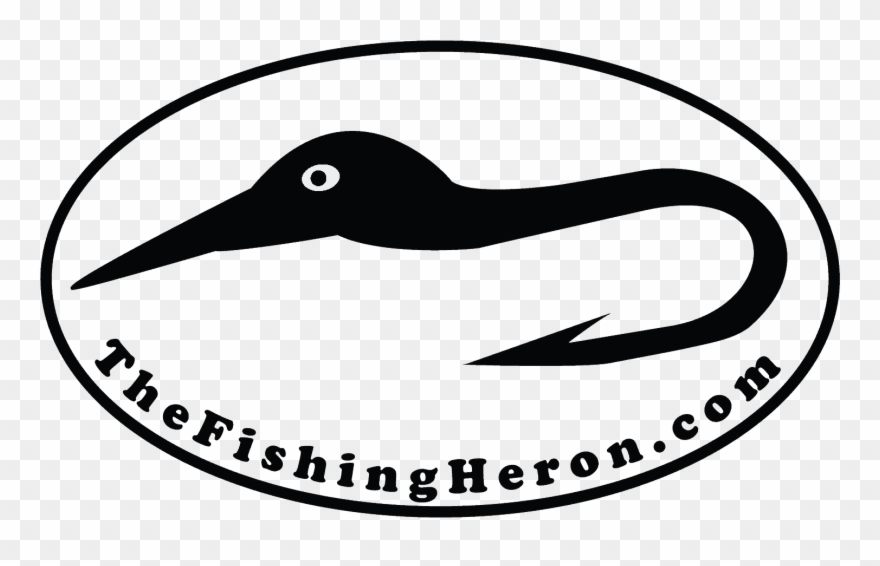 Rufous Hummingbird Clipart