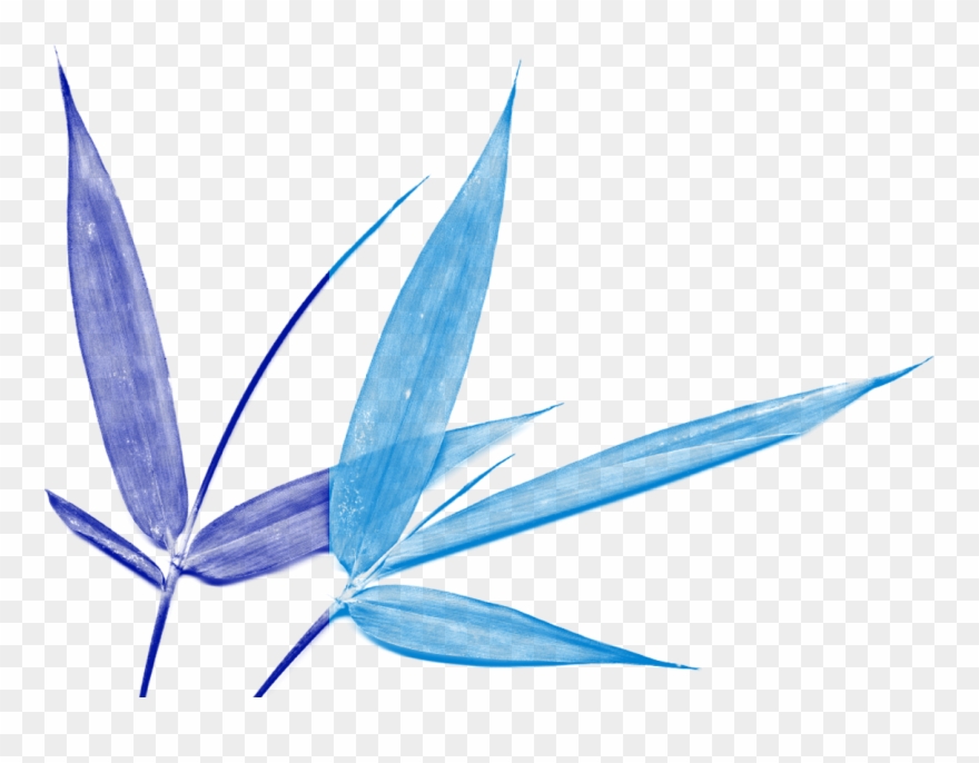 Propinquity Vibrational Essences Address The Full Spectrum Clipart