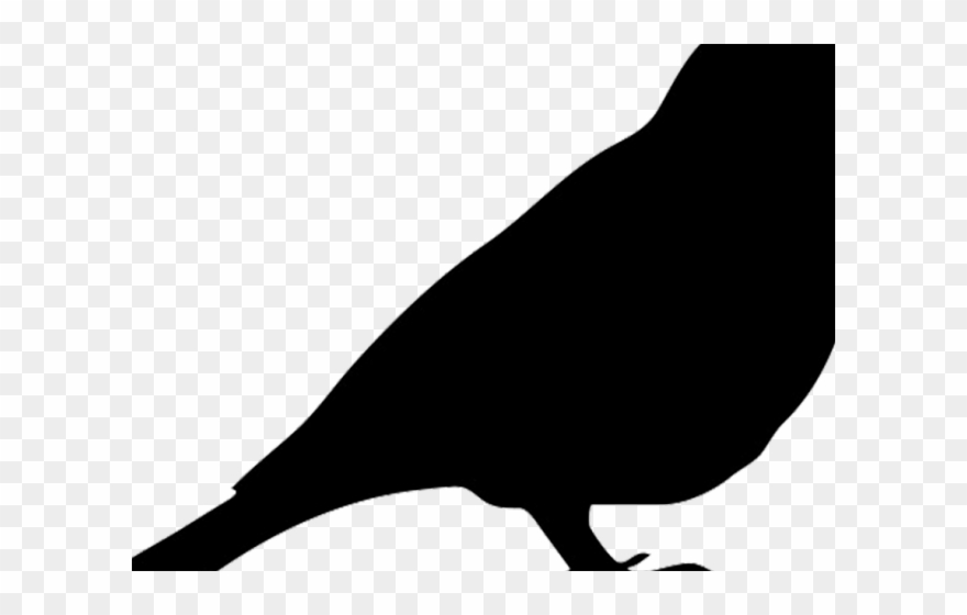 Mockingbird Clipart Robin - Perching Bird - Png Download