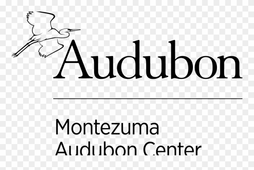 Free Educator Training @ The Mac - National Audubon Society Clipart