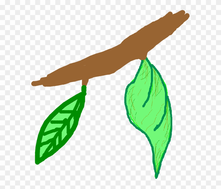 Actor2 - Actor - Illustration Clipart