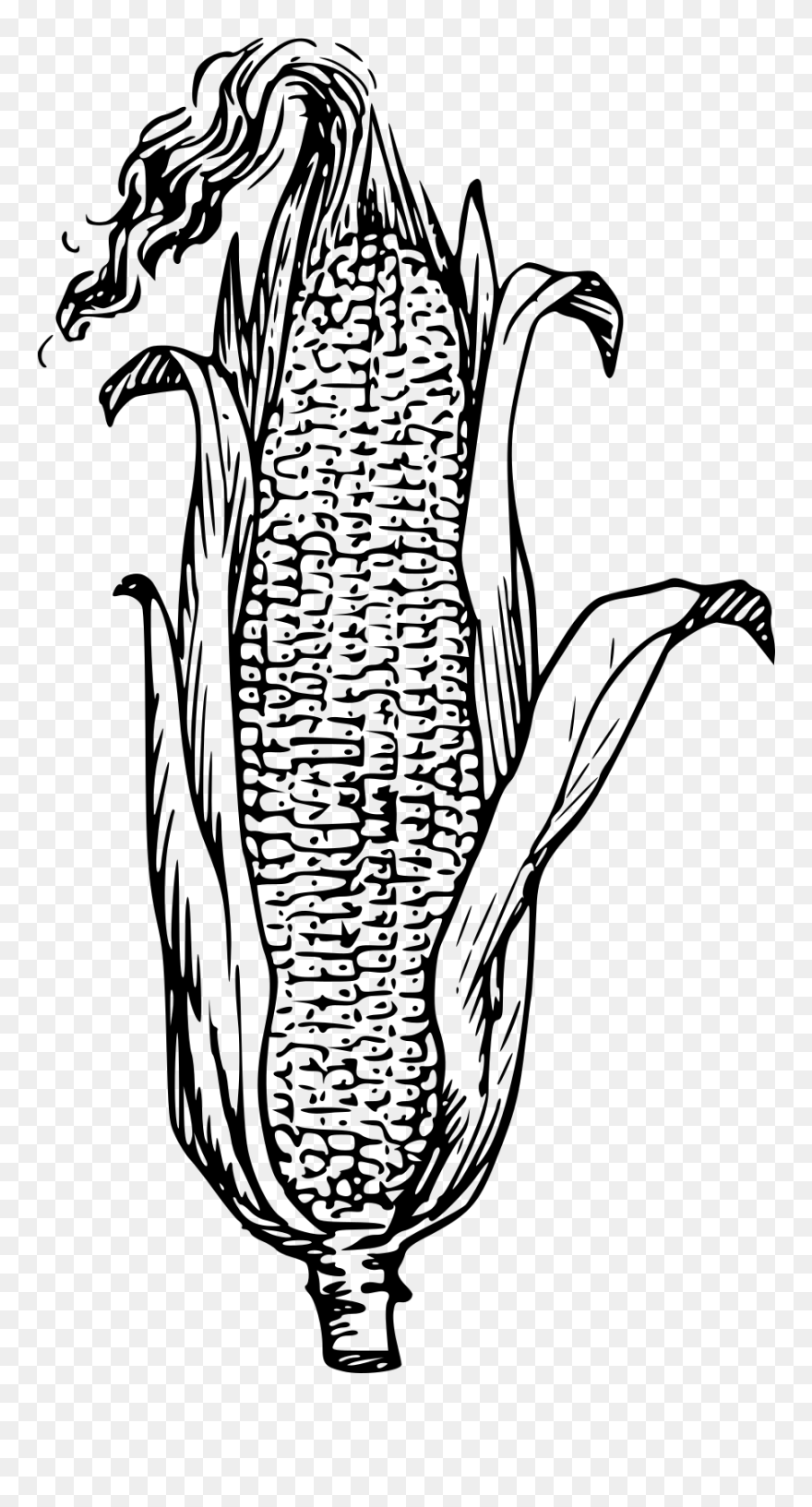 Corn Clipart Black And White - Png Download