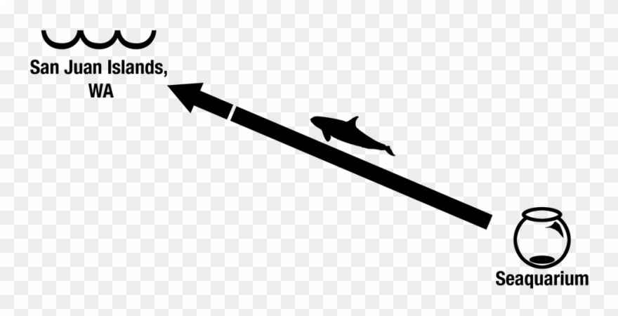 Save Lolita Retirement Plan - Sea Kayak Clipart