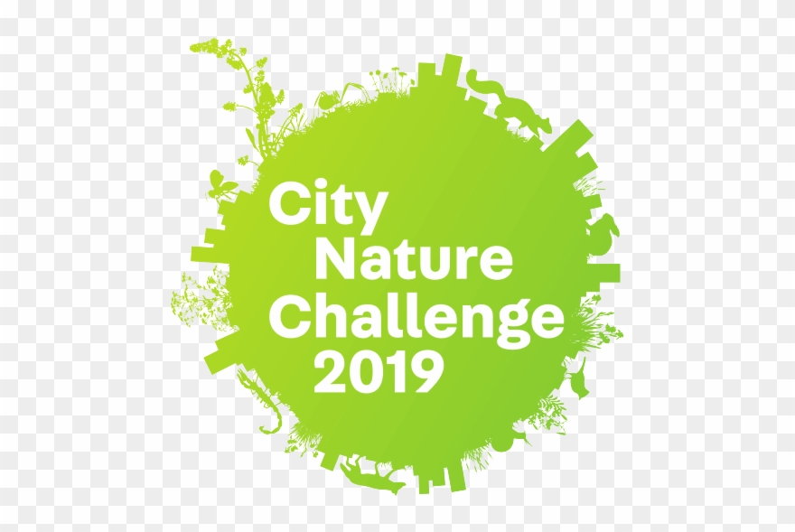 Which City Has The Most Nature - City Nature Challenge 2019 Clipart