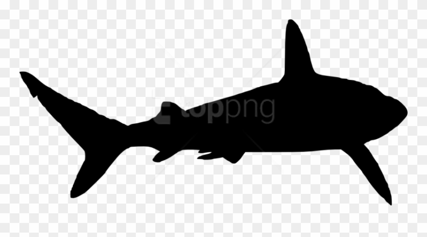 Free Png Shark Silhouette Png - Shark Silhouette No Background Clipart