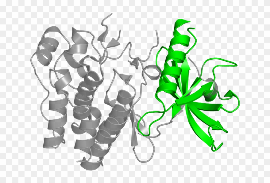 <div Class='caption-body'>1 Copy Of Cath Domain - Illustration Clipart