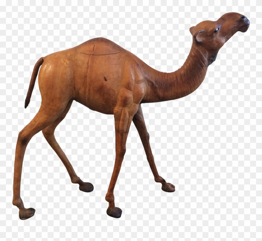 Vintage Leather Statue Chairish - Leather Camel Statue Clipart