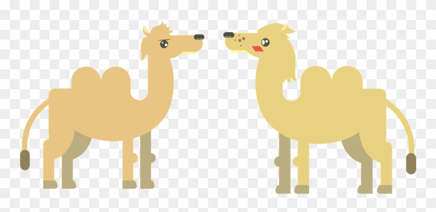 Camel Animal Desert - อูฐ การ์ตูน Png Clipart