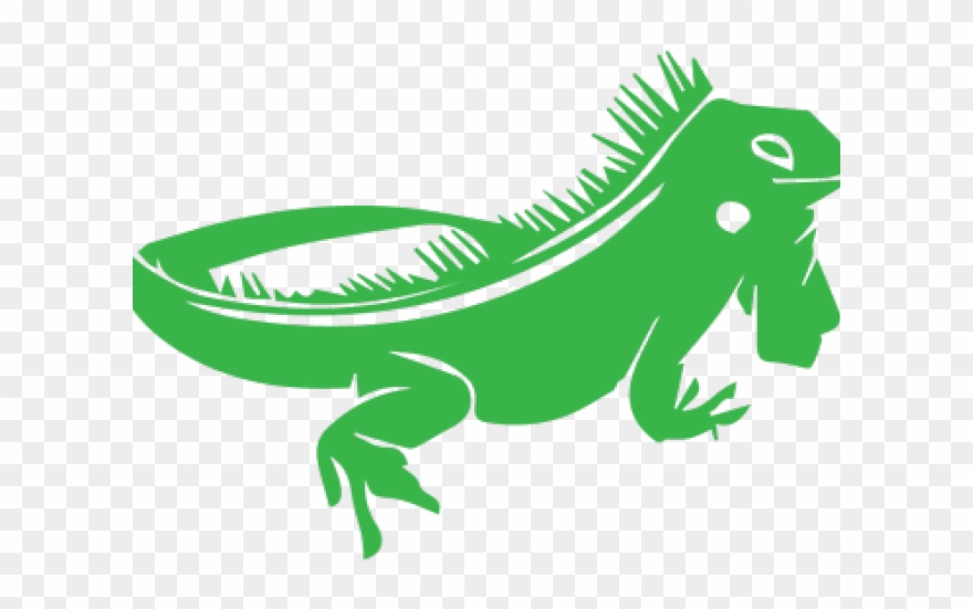 Chameleon Clipart Costa Rica - Iguana Clipart Transparent Background - Png Download