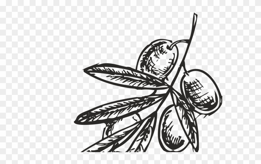 What's Inside The Olive Oil Clipart