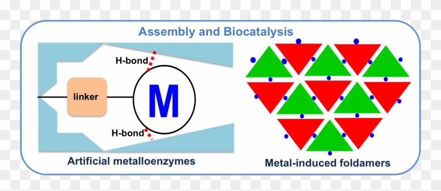 Biocatalysis Research - Triangle Clipart