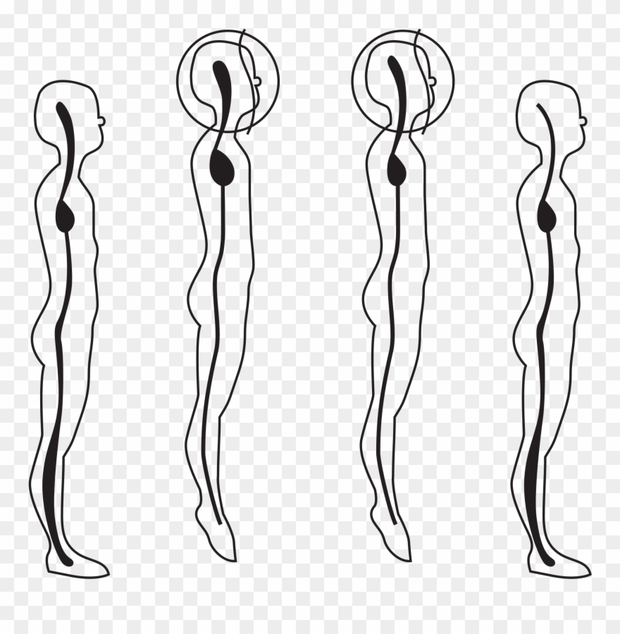 This Free Icons Png Design Of Body Postures - Drawing Clipart