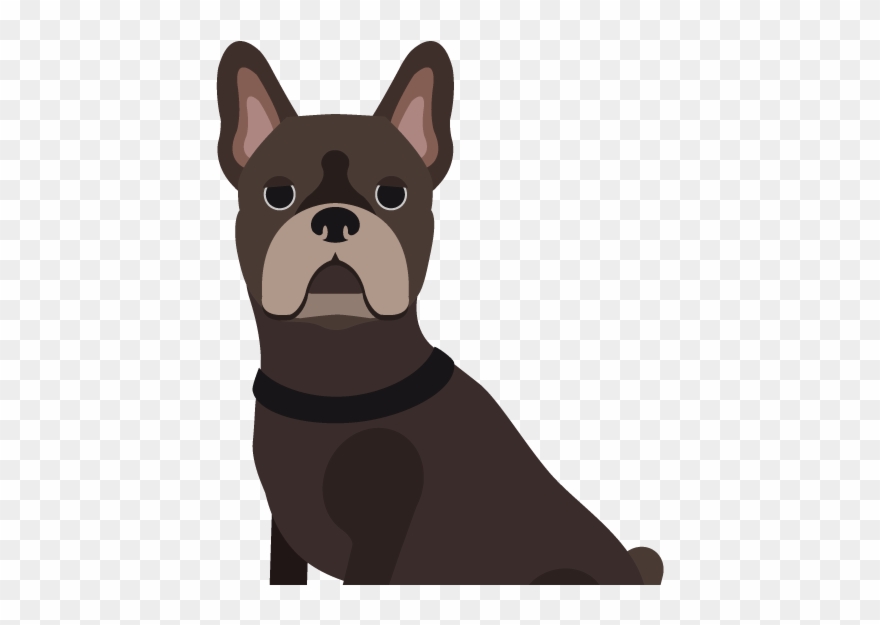 Audiovisual At Senac And Digital Media At Hyper Island - Boston Terrier Clipart