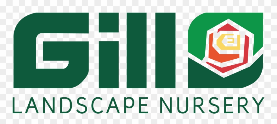 Gill Landscape Celebrating Years - Graphic Design Clipart