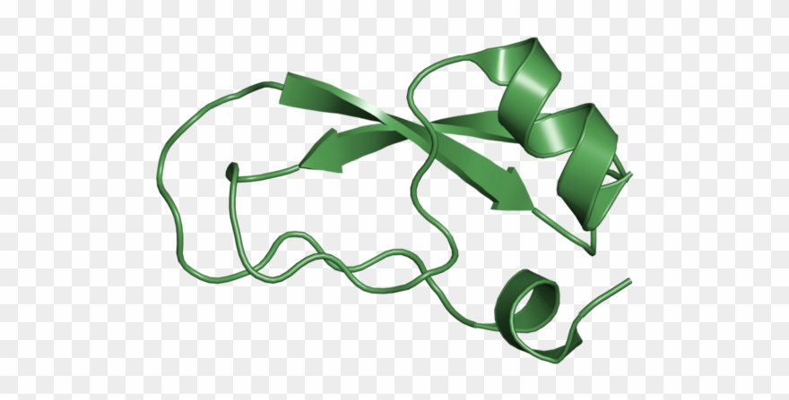 <div Class='caption-body'>1 Copy Of Scop Domain < - Illustration Clipart