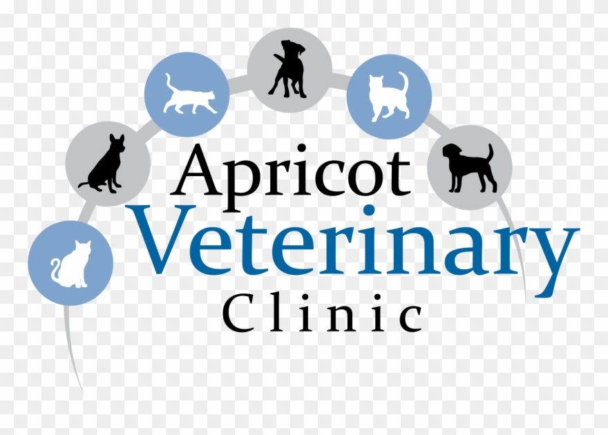 Shaken Not Stirred Clipart