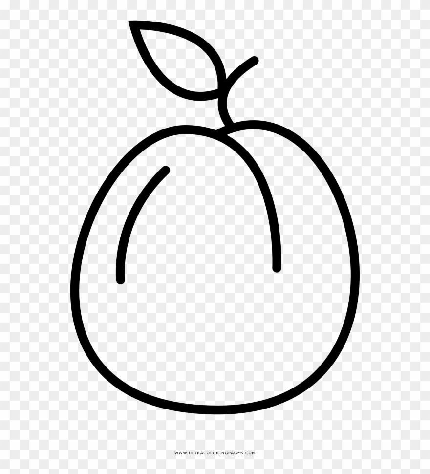 Apricot Coloring Page - Line Art Clipart