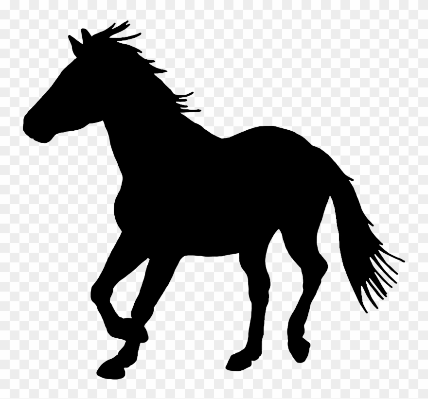 Black Silhouette Of Horse - Clipart Kudu - Png Download